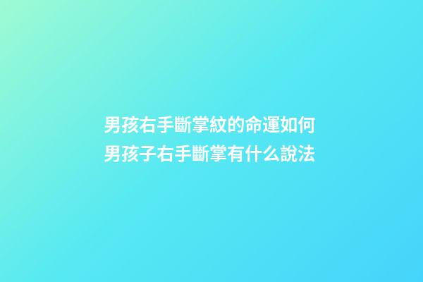 男孩右手斷掌紋的命運如何 男孩子右手斷掌有什么說法-第1張-觀點-玄機派